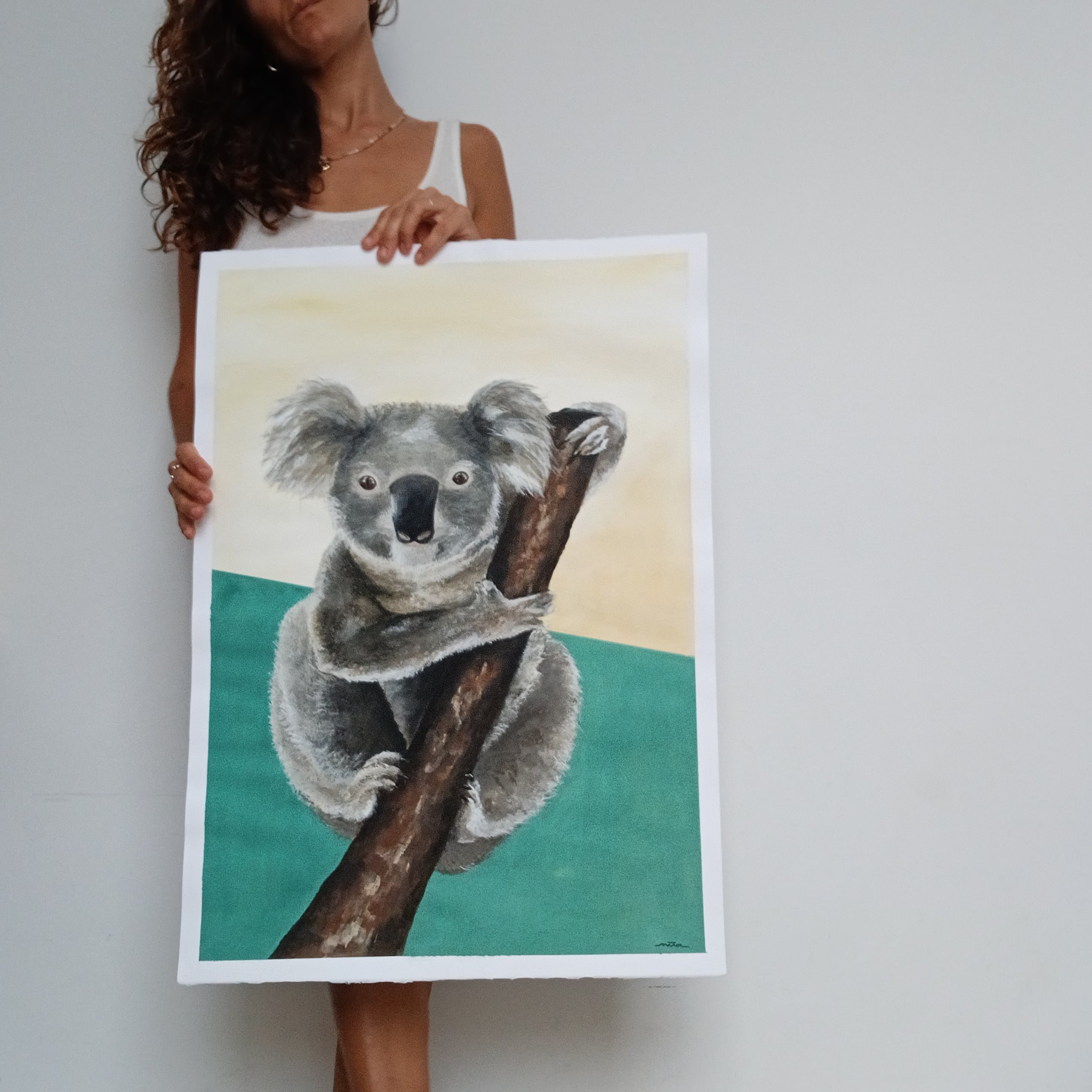 Koala